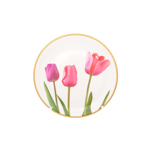 Набор обеденных тарелок Tulip, 25 см, 6 шт. 51377 Toygar