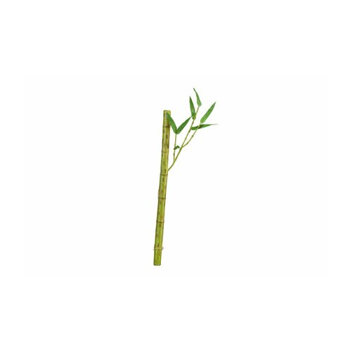 Бамбук стебель длинный с веточкой, 39х2 см, светло-зеленый 30.0611073LG Treez