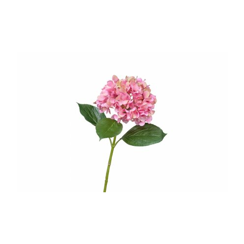 Гортензия "Grande Fiore", 70х21 см, ярко-розовая 30.0613151PK Treez