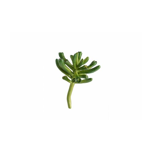 Мини-суккулент Крассула Хоббит, 7.5х9 см 30.0610034 Treez