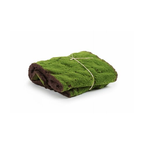 Мох в рулоне, 180х35 см 30.0312011 Treez