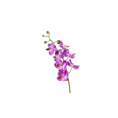 Орхидея Фаленопсис Элегант, 70 см, светло-фиолетовая 30.0611087VL Treez