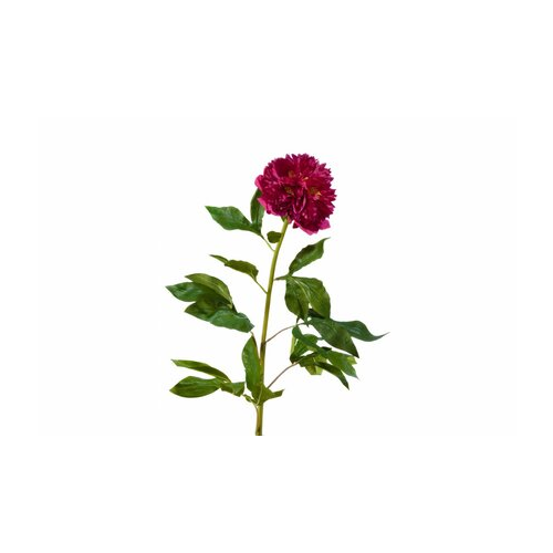 Пион большой бордо, 100х15 см 30.03070049/2 Treez
