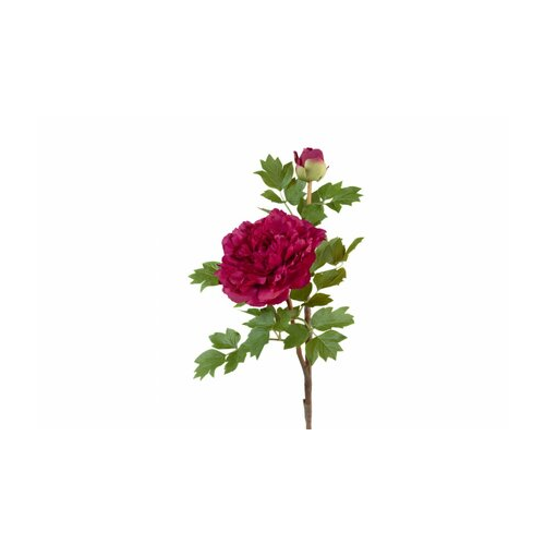 Пион бордовый ветвь малая, 35х11 см 30.0613123RD Treez