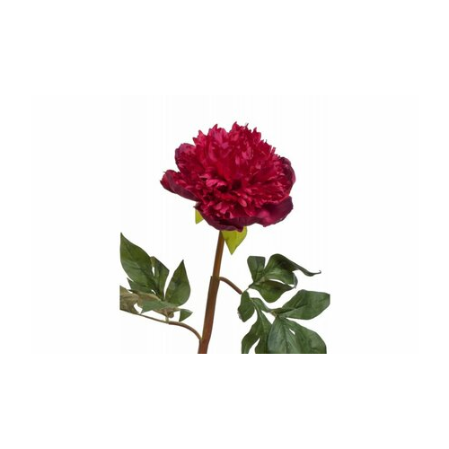 Пион махровый бордовый, 60 см 30.03160262RD Treez
