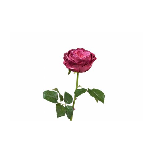 Роза Джема, 56 см, темная фуксия 30.03150254FU Treez