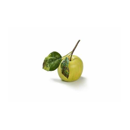 Яблоко на веточке, 7.5 см, нежно-зеленое 30.03110134YE Treez