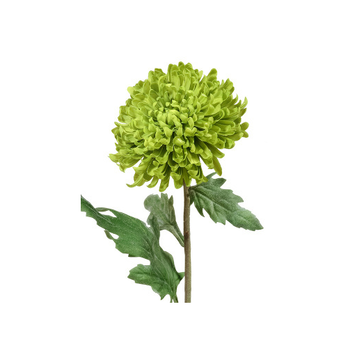 Хризантема Шамрок, 14х49 см, зеленая 30.0611095GR Treez