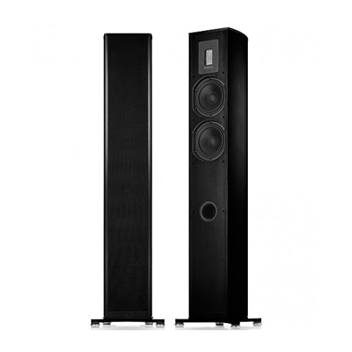 Напольная активная акустика Piega Premium 701 Wireless AB