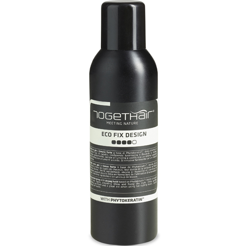 Togethair Фиксирующий спрей сильной фиксации 250 мл (Togethair, New Finish Concept)