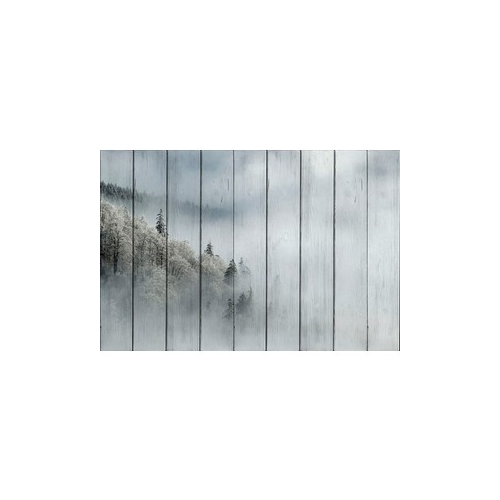 Картина на дереве Дом Корлеоне Лес в тумане 40x60 см