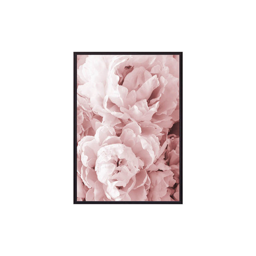Постер в рамке Дом Корлеоне Розовые пионы 40x60 см