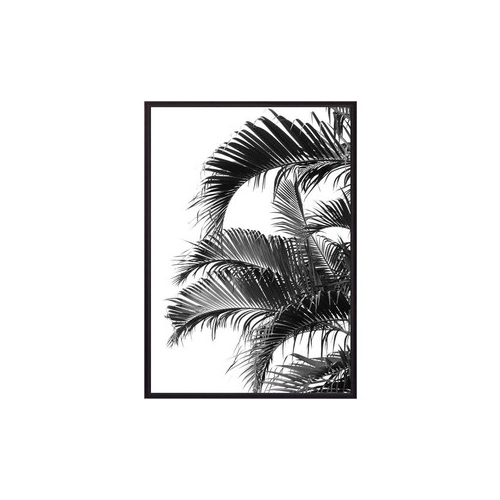 Постер в рамке Дом Корлеоне Пальмовые листья 50x70 см