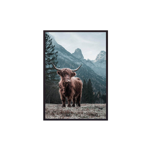 Постер в рамке Дом Корлеоне Шотландский бык 30x40 см