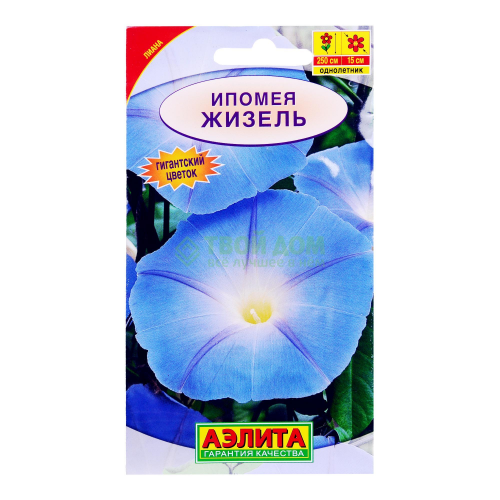 Аэлита Ипомея Жизель
