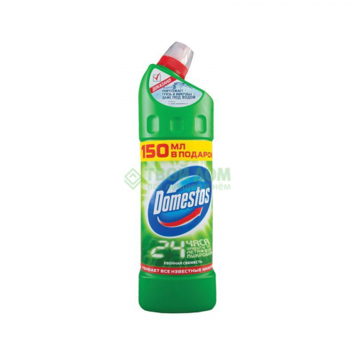 Чистящее средство Domestos Хвойная свежесть 1 л