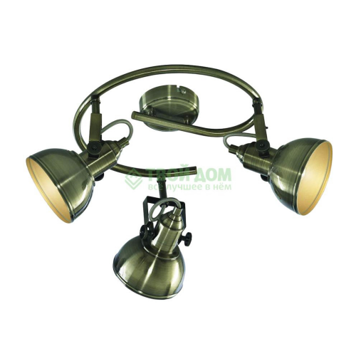 Спот ARTELamp Martin (A5215PL-3AB)