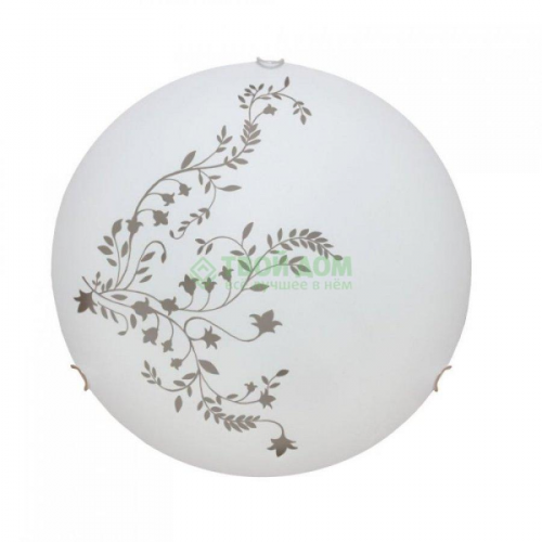 Настенно-потолочный светильник Arte Lamp ORNAMENT A3820PL-2CC