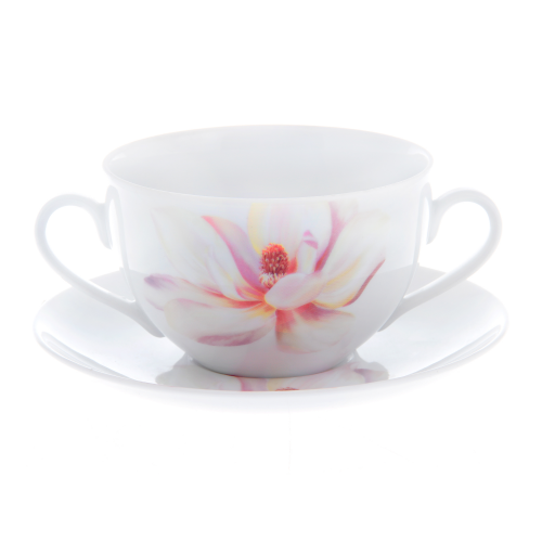Пара суповая Porcelaine Czech Gold Hands Магнолия 350 мл