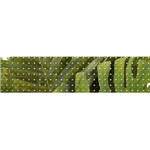 Бордюр Cersanit Tropicana 6x25 см TC1C021D