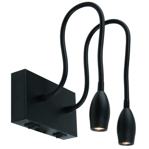 Настенный светильник Arte Lamp Scorcio A7003AP-2BC