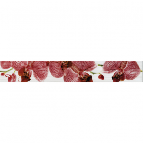 Бордюр PiezaRosa Fiori Орхидея 6x40 см