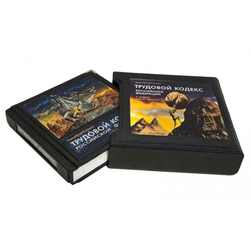 Книга Best Gift Иллюстрированный трудовой кодекс Российской Федерации
