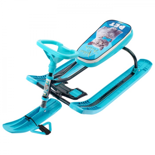 Снегокат Nika kids тимка спорт 2