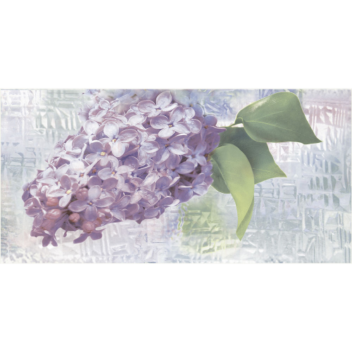 Декор Alma Ceramica Sirio DWU09SIR123 24,9x50 см