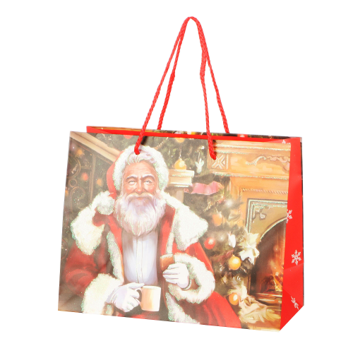 Пакет подарочный Due Esse Christmas новогодний 23х10х18 в ассортименте