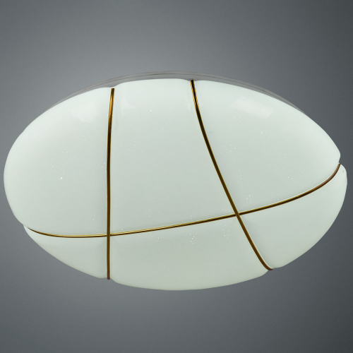 Светильник потолочный Arte lamp led a2677pl-72go
