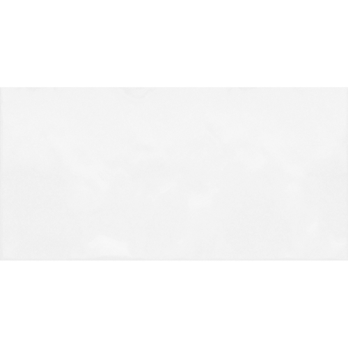 Плитка Alma Ceramica Borneo TWU09MNR020 24,9x50 см