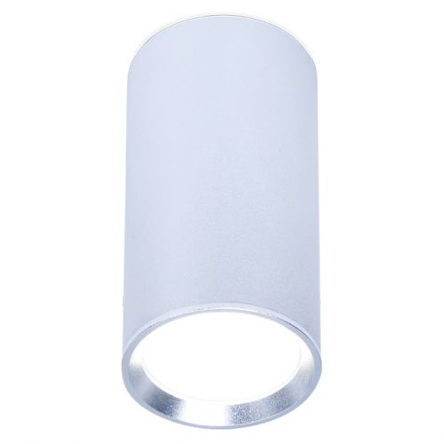 Светильник точечный Ambrella light tn219 sl/s d56х100