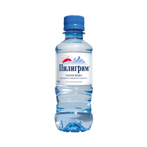 Вода питьевая Пилигрим 0,25 л